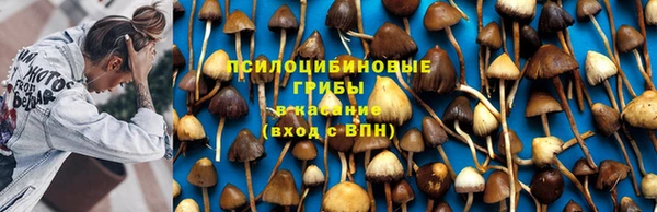 экстази Алзамай