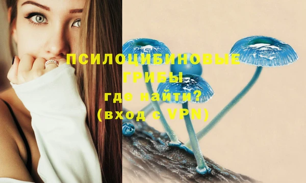 мяу мяу мука Алексеевка